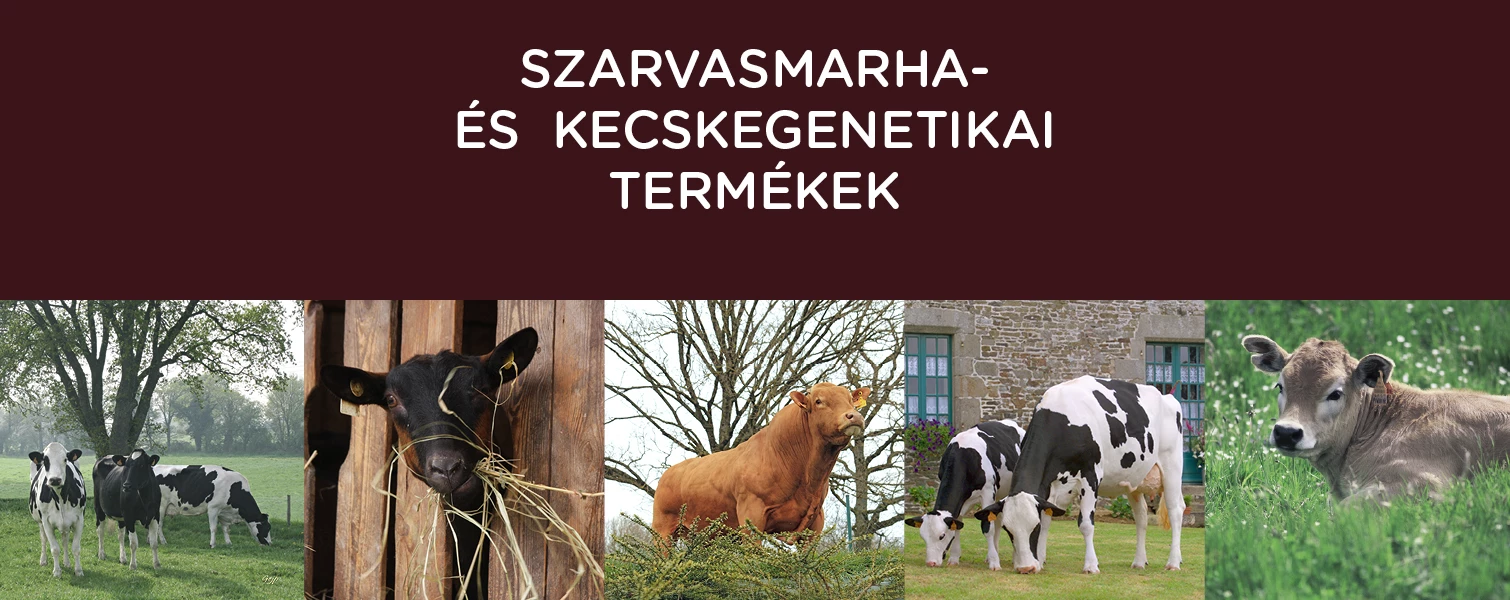 sersiafarm.hu
