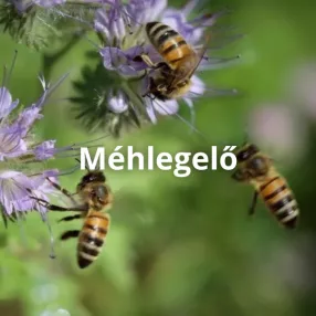 Méhlegelő