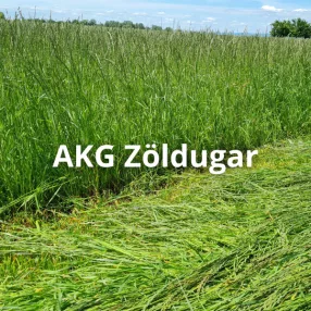 AKG Zöldugar