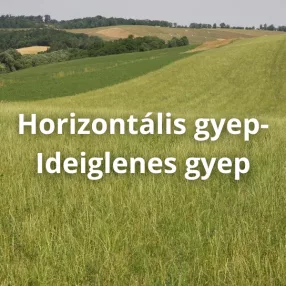 Horizontális gyep-Ideiglenes gyep