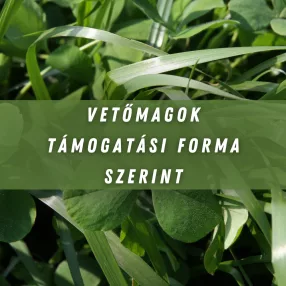 Vetőmagok támogatási forma szerint