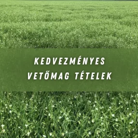 Kedvezményes vetőmag tételek
