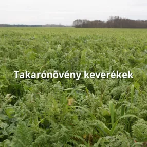 Takarónövény keverékek