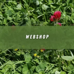 Webshop