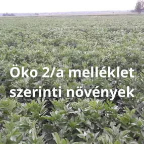 Öko 2/a melléklet szerinti növények