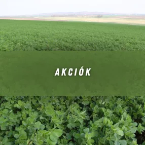 Akciók