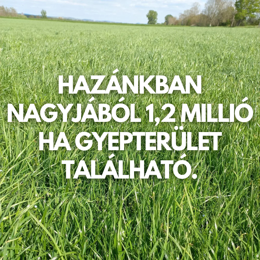Nem lehetünk ilyen gazdagok! – Miért hagyjuk veszni a gyepjeink termőképességét?