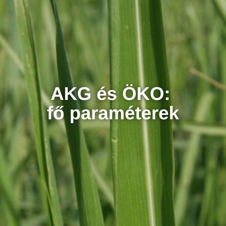  AKG és ÖKO: fő paraméterek 
