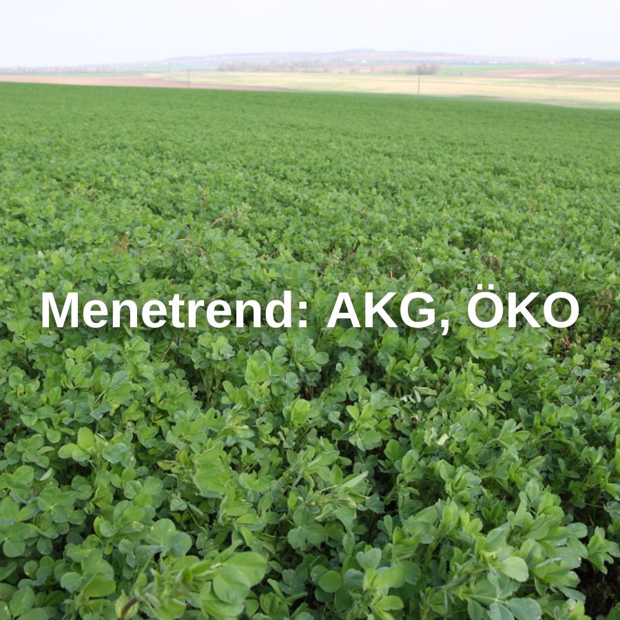 Menetrend: AKG, ÖKO