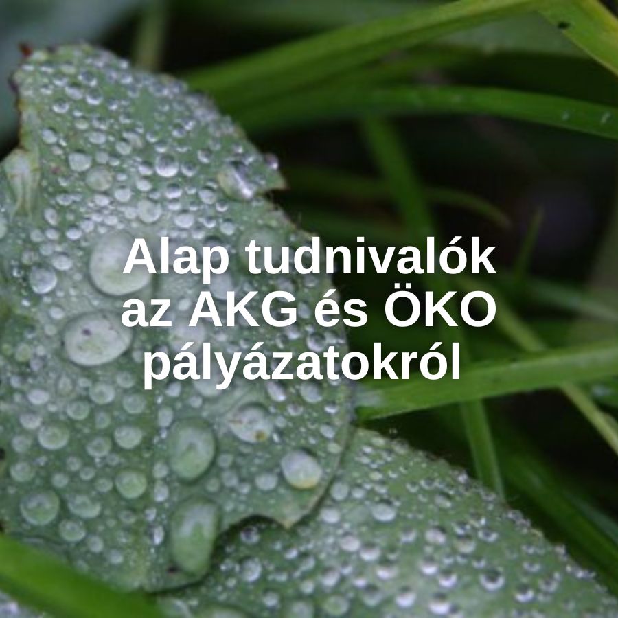  Alap tudnivalók az AKG és ÖKO pályázatokról 