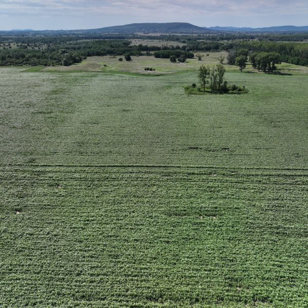 Légi felvételek az Asolo Tris és a Little Giant keverékekről