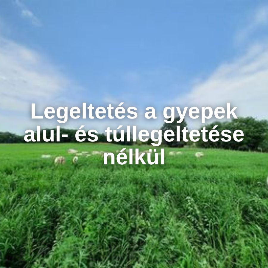  Legeltetés a gyepek alul- és túllegeltetése nélkül 