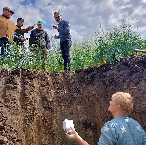 7 talajszelvényt elemeztünk a Hódagro Mezőgazdasági Zrt-nél