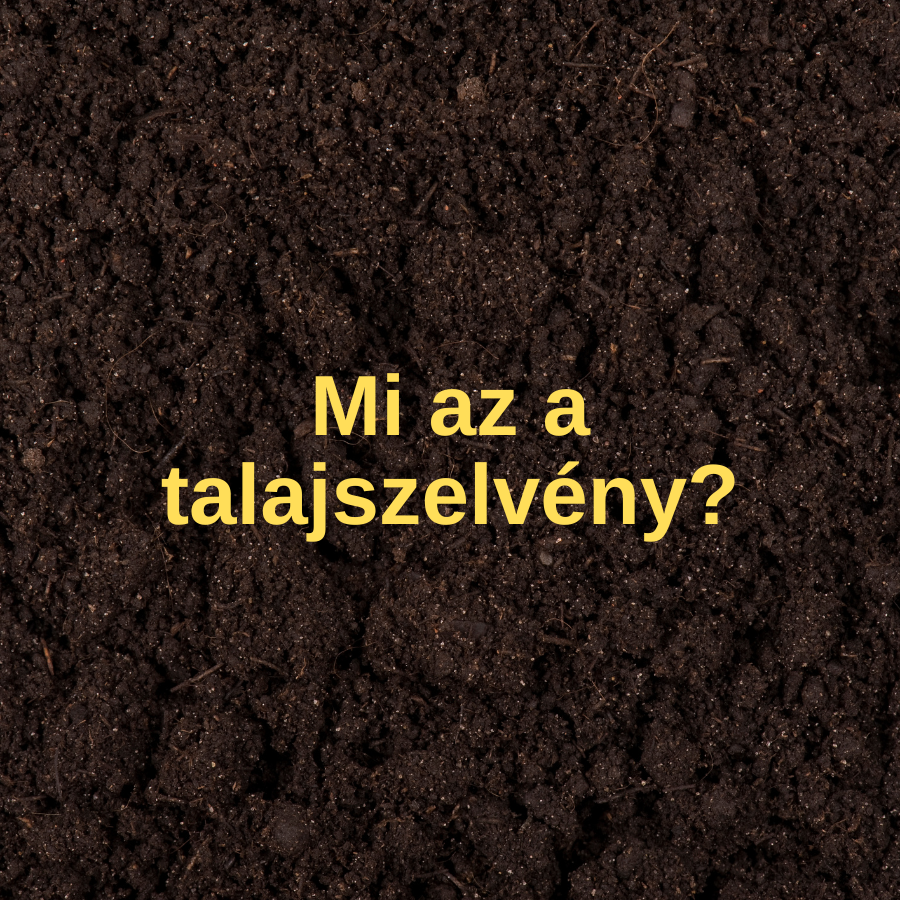 Mi az a talajszelvény?