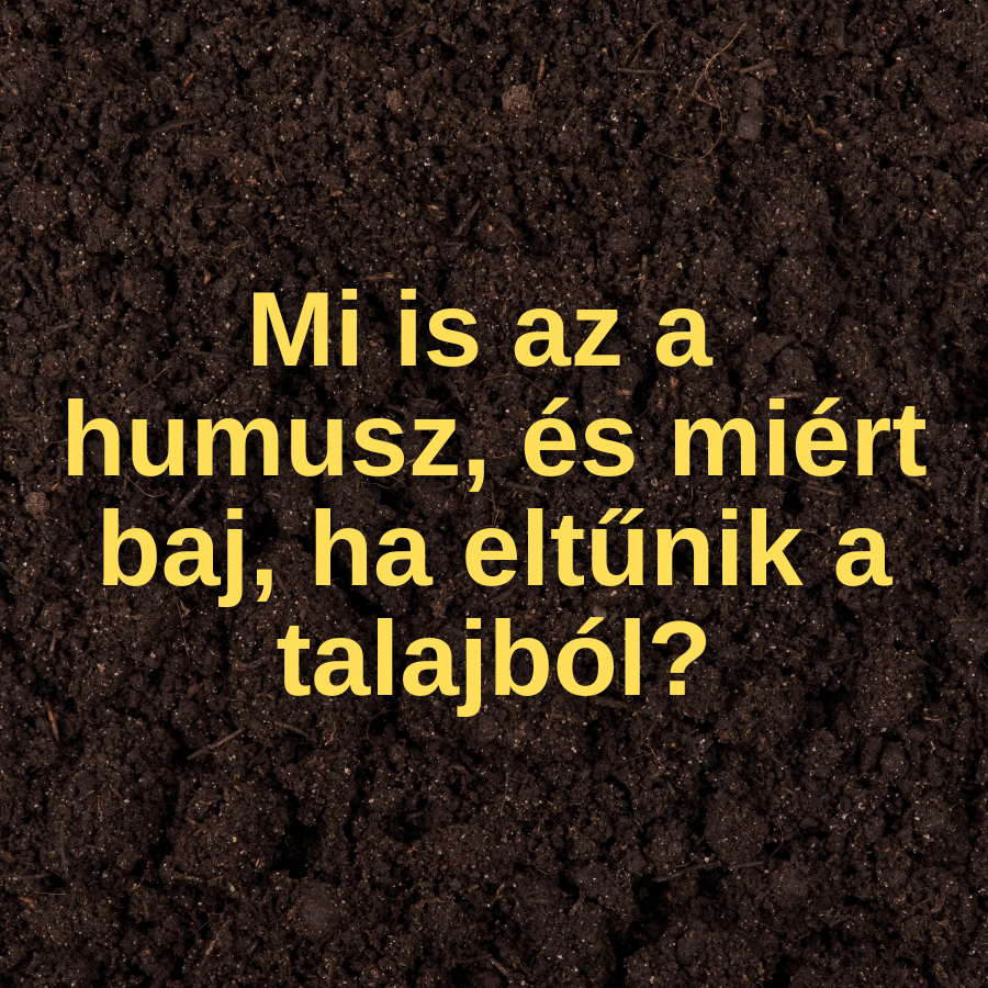Mi is az a humusz, és miért baj, ha eltűnik a talajból?
