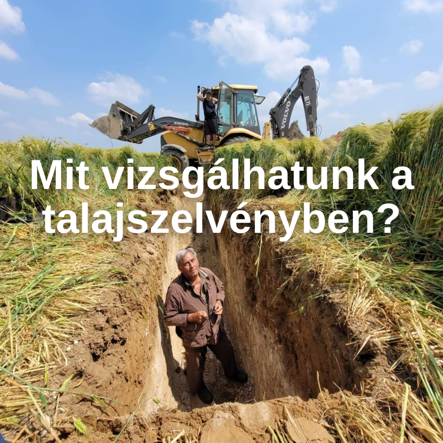 Mit vizsgálhatunk a talajszelvényben? – az első lépések a megértés felé
