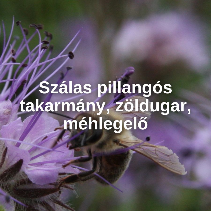  Szálas pillangós takarmány, zöldugar, méhlegelő 