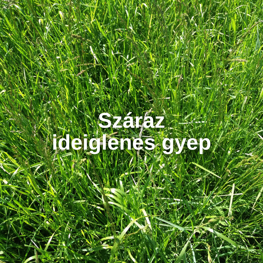 Megoldás a horizontális gyep - ideiglenes gyep kategóriára