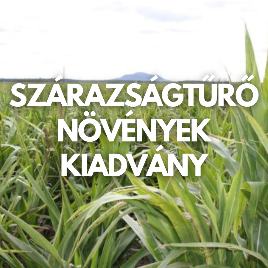 Szárazságtűrő takarmánynövények kiadvány