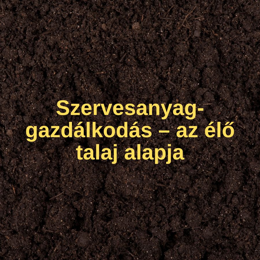 Szervesanyag-gazdálkodás – az élő talaj alapja