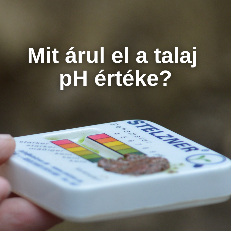 Mit árul el a talaj pH értéke?