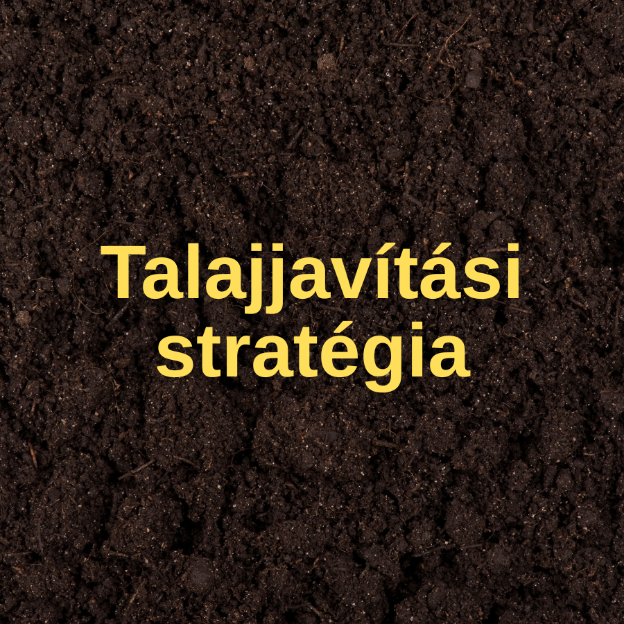 Talajjavítási stratégia