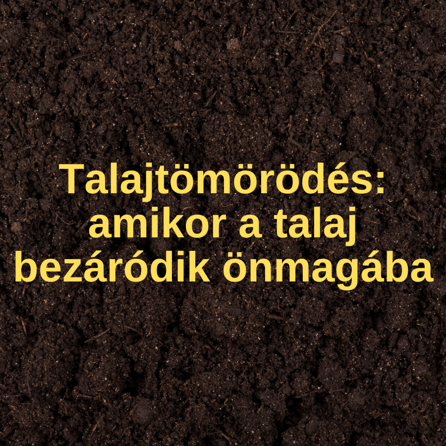 Talajtömörödés – amikor a talaj bezáródik önmagába