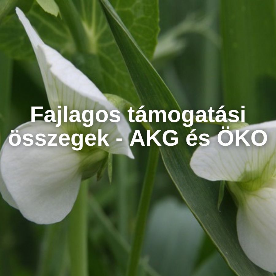 Fajlagos támogatási összegek - AKG és ÖKO