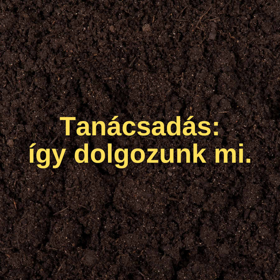 Közös gondolkodás, biztos alapokon - így dolgozunk mi