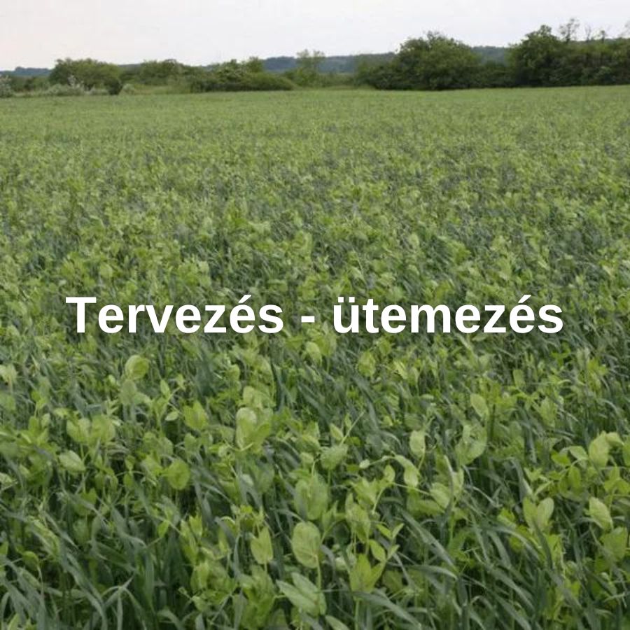  Zöldtrágyanövény termesztés, istállótrágyázás, biogáz iszap kijuttatás tervezés/ütemezés
