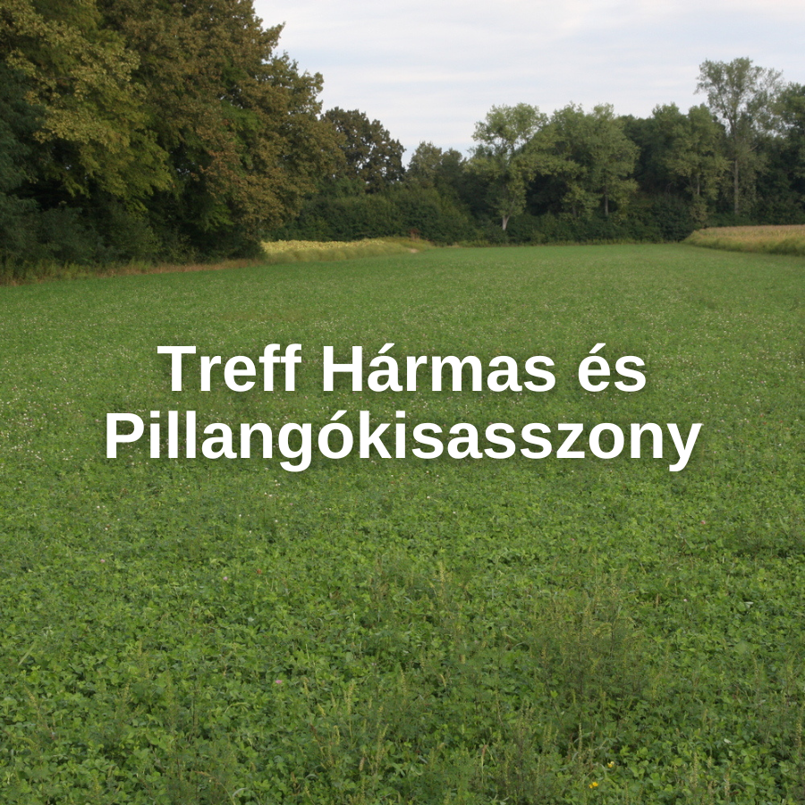 Pillangókisasszony és Treff Hármas vetőmagkeverékek
