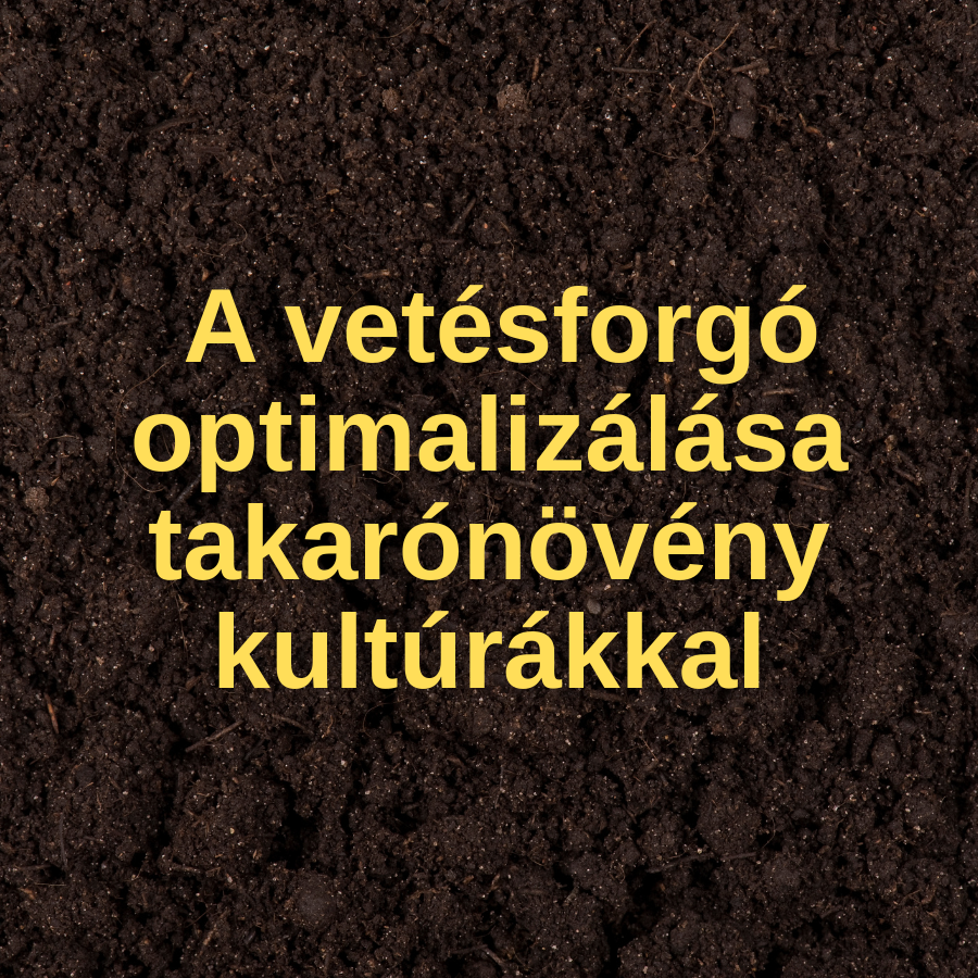 A vetésforgó optimalizálása takarónövény kultúrákkal