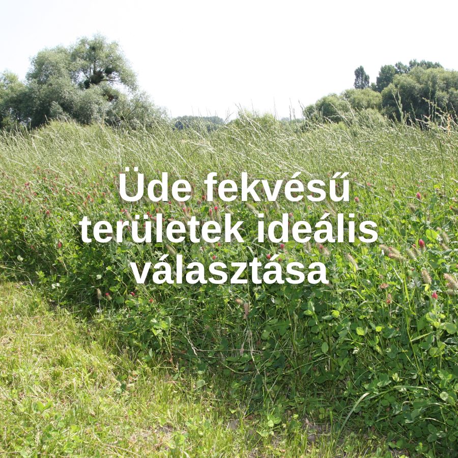 Vizes Nyolcas vetőmagkeverék- üde fekvésű területek ideális választása